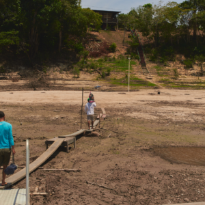 Ações em bioeconomia podem reduzir risco de catástrofes como a seca na Amazônia - Foto: Divulgação/Rodolfo Pongelupe