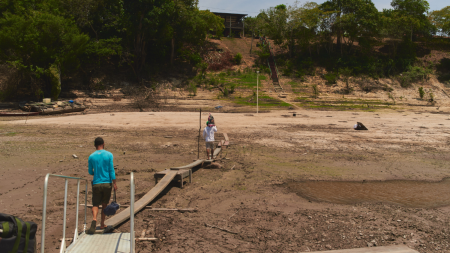 Ações em bioeconomia podem reduzir risco de catástrofes como a seca na Amazônia - Foto: Divulgação/Rodolfo Pongelupe