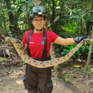 Animais silvestres têm sido vistos cada vez mais em Manaus - Foto: Divulgação/CBMAM