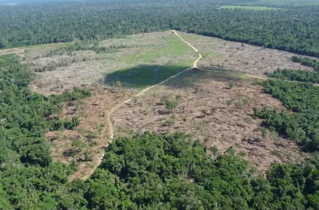 Desmatamento-na-Amazonia