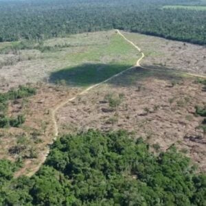 Desmatamento-na-Amazonia