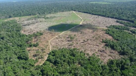 Desmatamento-na-Amazonia