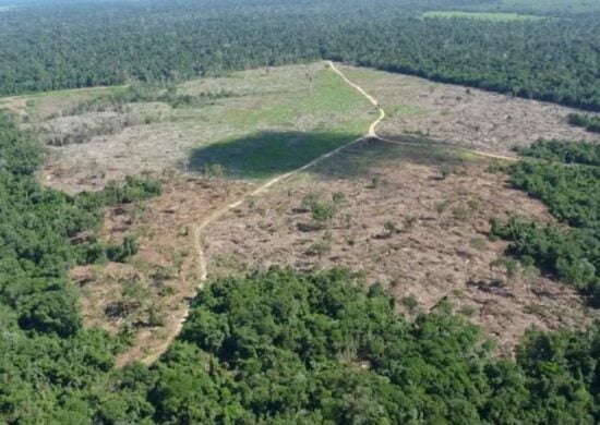 Desmatamento-na-Amazonia