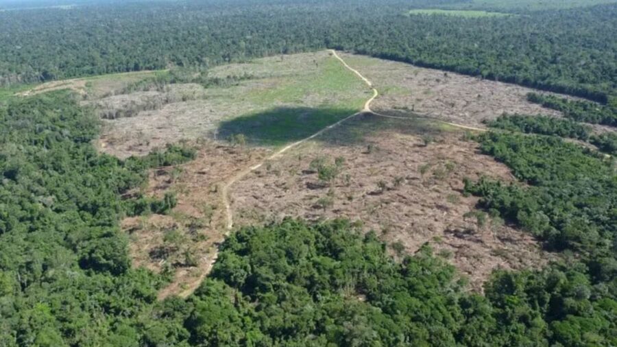 Desmatamento-na-Amazonia