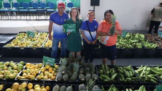 Programa de Aquisição de Alimentos (PAA) é uma ação do Governo Federal