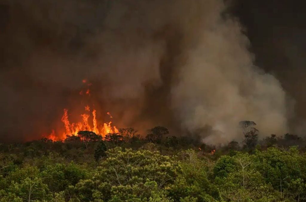 Queimada-Amazonia