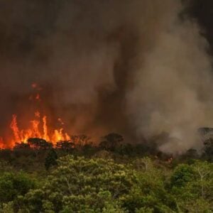 Queimada-Amazonia