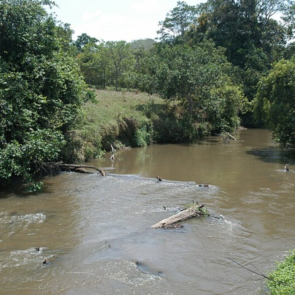 Quatro homens são presos por danos à área de proteção ambiental do DF