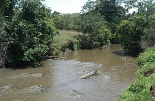 Quatro homens são presos por danos à área de proteção ambiental do DF