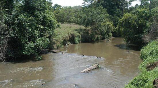 Quatro homens são presos por danos à área de proteção ambiental do DF