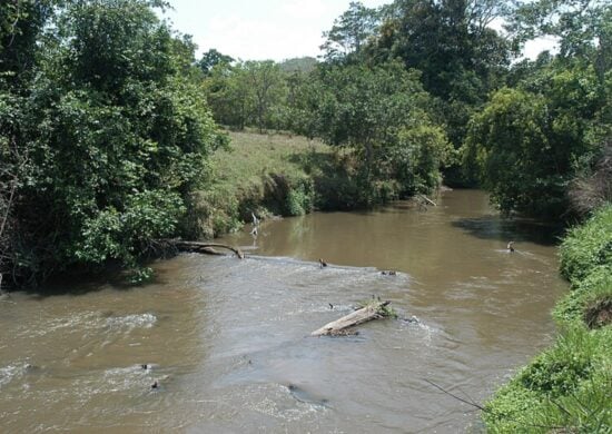 Quatro homens são presos por danos à área de proteção ambiental do DF