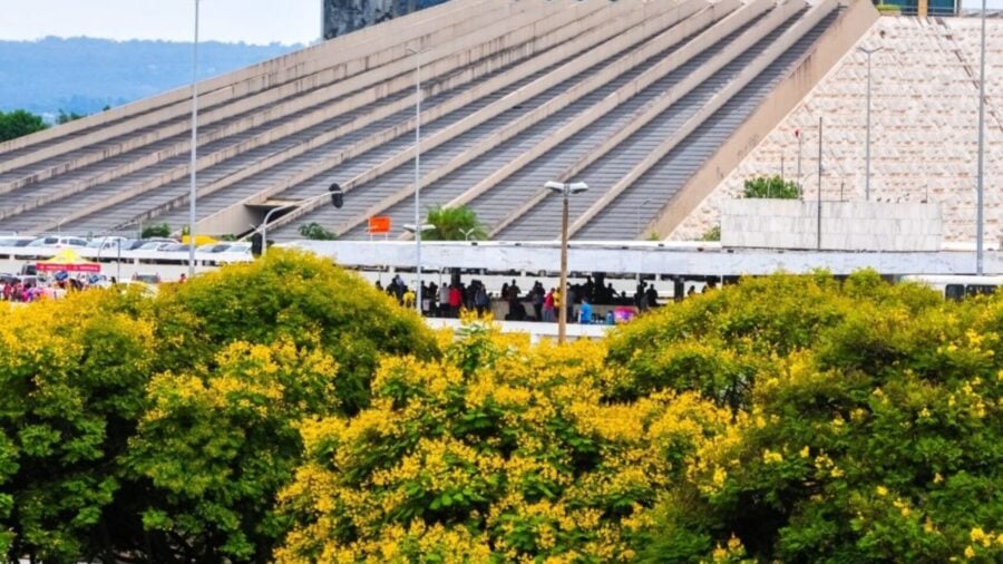 Reforma do Teatro Nacional: obras da Sala Martins Pena estão 80% concluídas