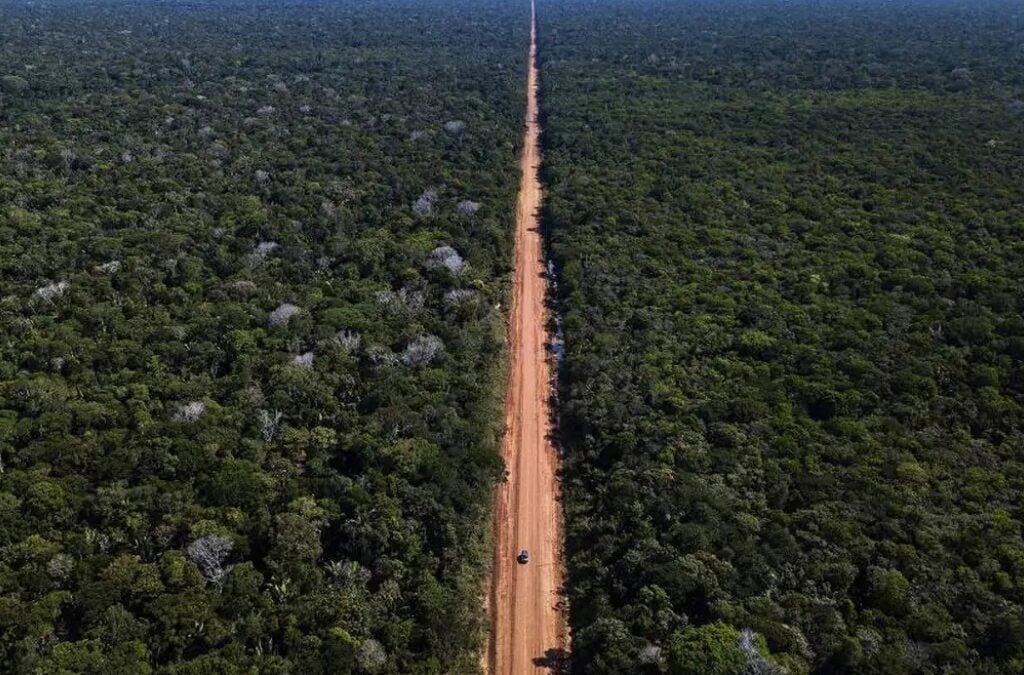 Justiça autoriza prévia para asfaltamento da BR-319. Foto: Divulgação DNIT