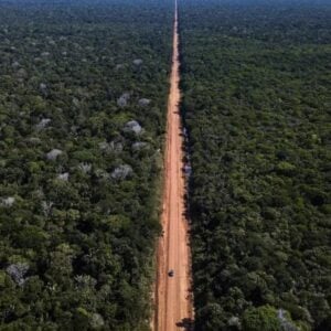 Justiça autoriza prévia para asfaltamento da BR-319. Foto: Divulgação DNIT