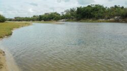 Jovens se perderam nas proximidades de Balneário Caranã, em Boa Vista