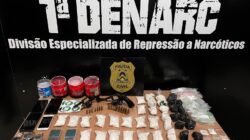 Drogas apreendidas resultou em um prejuízo de mais de R$ 100 mil para o tráfico - Foto: DICOM/SSP TO