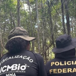 Cinco pessoas são presas por desmatamento ilegal em Rondônia. Foto: Reprodução