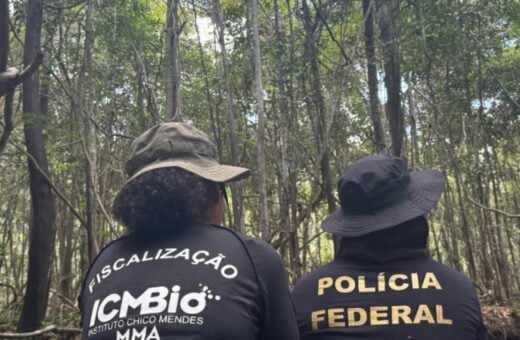 Cinco pessoas são presas por desmatamento ilegal em Rondônia. Foto: Reprodução