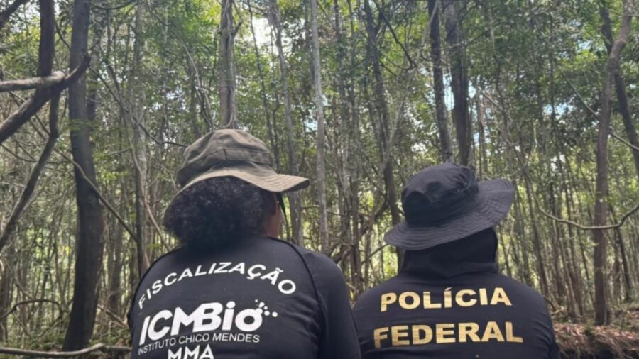 Cinco pessoas são presas por desmatamento ilegal em Rondônia. Foto: Reprodução