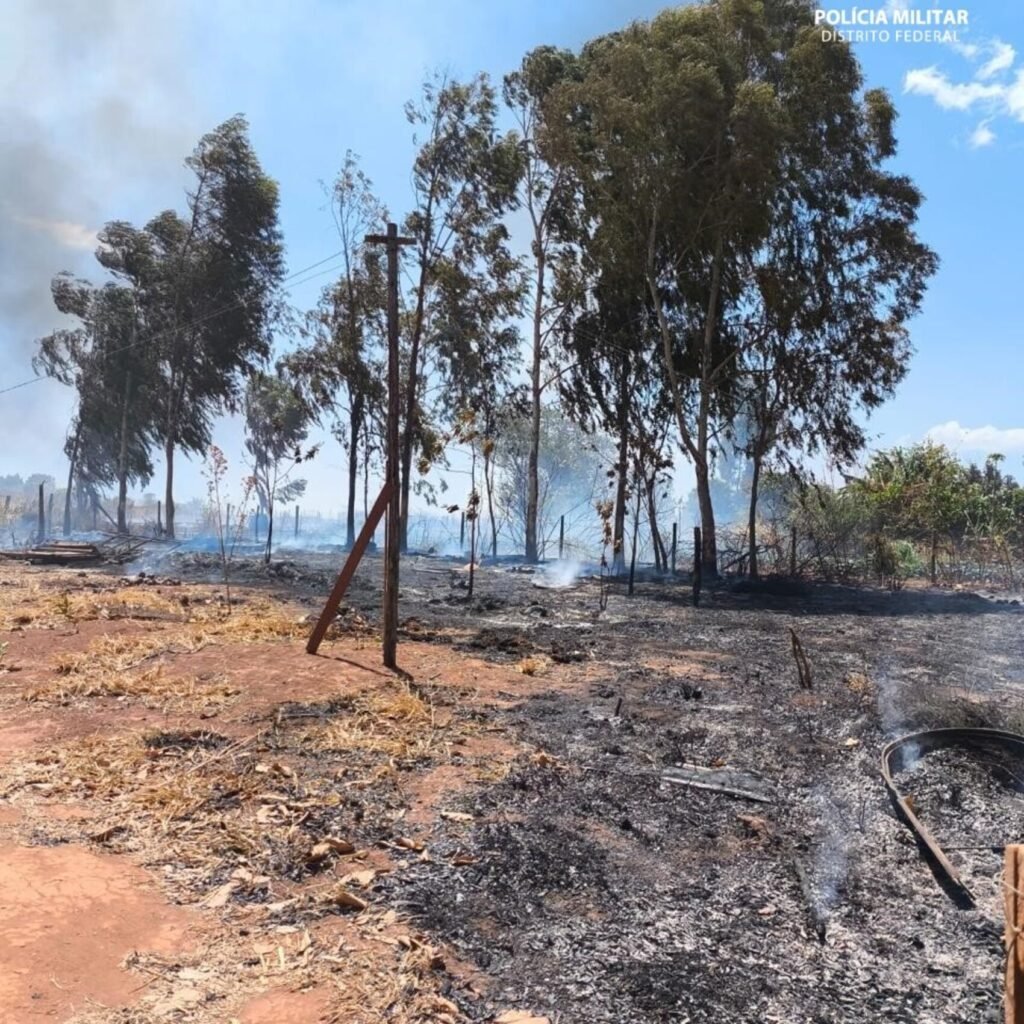 PMDF prende suspeito de atear fogo em mata próxima do Parque Nacional de Brasília