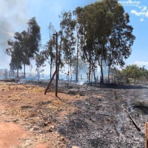 PMDF prende suspeito de atear fogo em mata próxima do Parque Nacional de Brasília