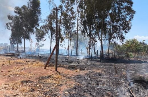 PMDF prende suspeito de atear fogo em mata próxima do Parque Nacional de Brasília