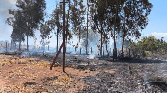 PMDF prende suspeito de atear fogo em mata próxima do Parque Nacional de Brasília