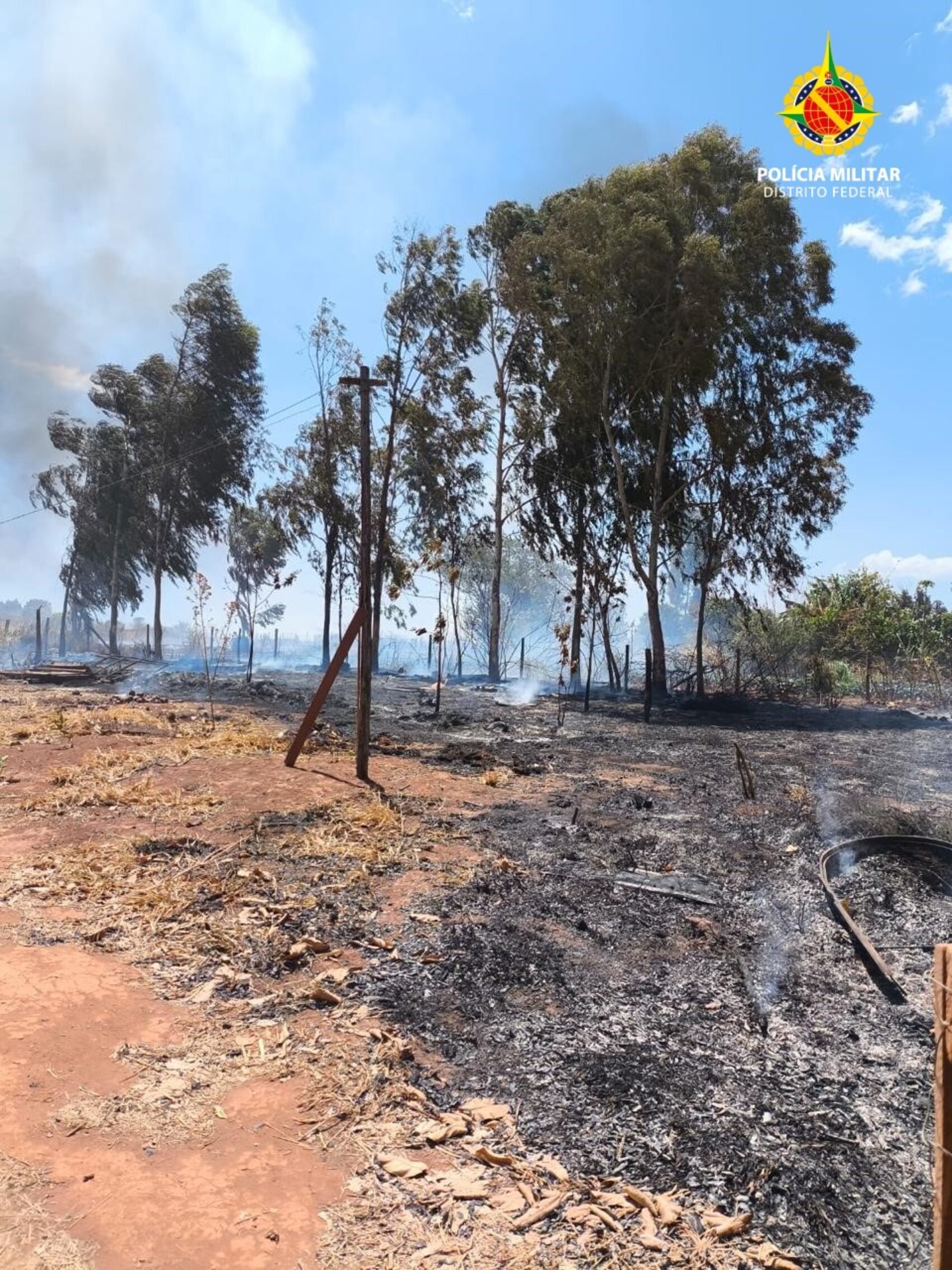 PMDF prende suspeito de atear fogo em mata próxima do Parque Nacional de Brasília