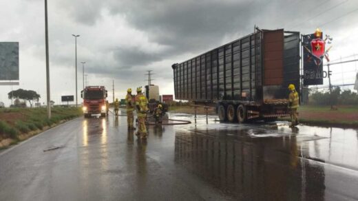 DF: carreta de transporte de animais pega fogo na BR 040