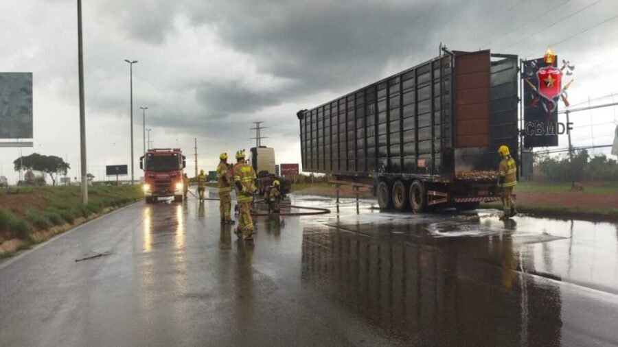 DF: carreta de transporte de animais pega fogo na BR 040