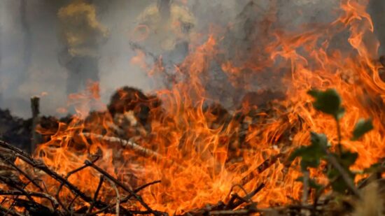 Incêndios no Cerrado aumentam 117% em 2024; fazendas tiveram 3,9 milhões de hectares queimados. Foto: Joédson Alves/Agência Brasil