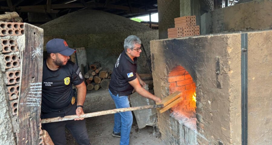 Droga foi incinerada no município de Dueré - Foto: Divulgação SSP/TO