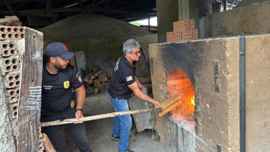 Droga foi incinerada no município de Dueré - Foto: Divulgação SSP/TO