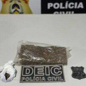 Polícia apreendeu meio quilo de maconha - Foto: Divulgação/SSP TO