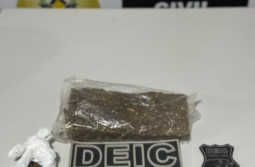 Polícia apreendeu meio quilo de maconha - Foto: Divulgação/SSP TO