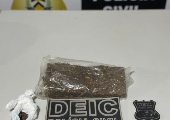 Polícia apreendeu meio quilo de maconha - Foto: Divulgação/SSP TO