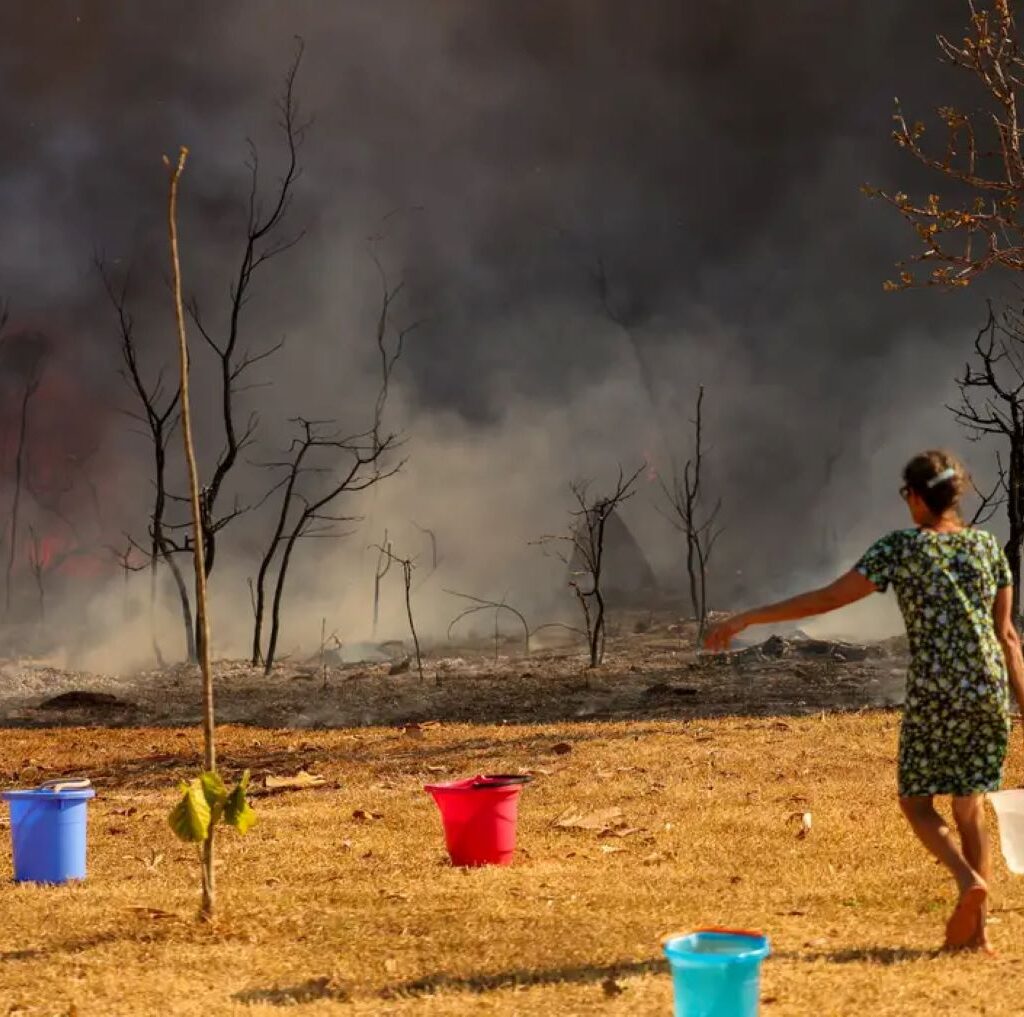 PF investiga incêndios criminosos no DF.