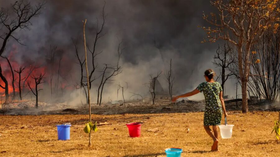 PF investiga incêndios criminosos no DF.