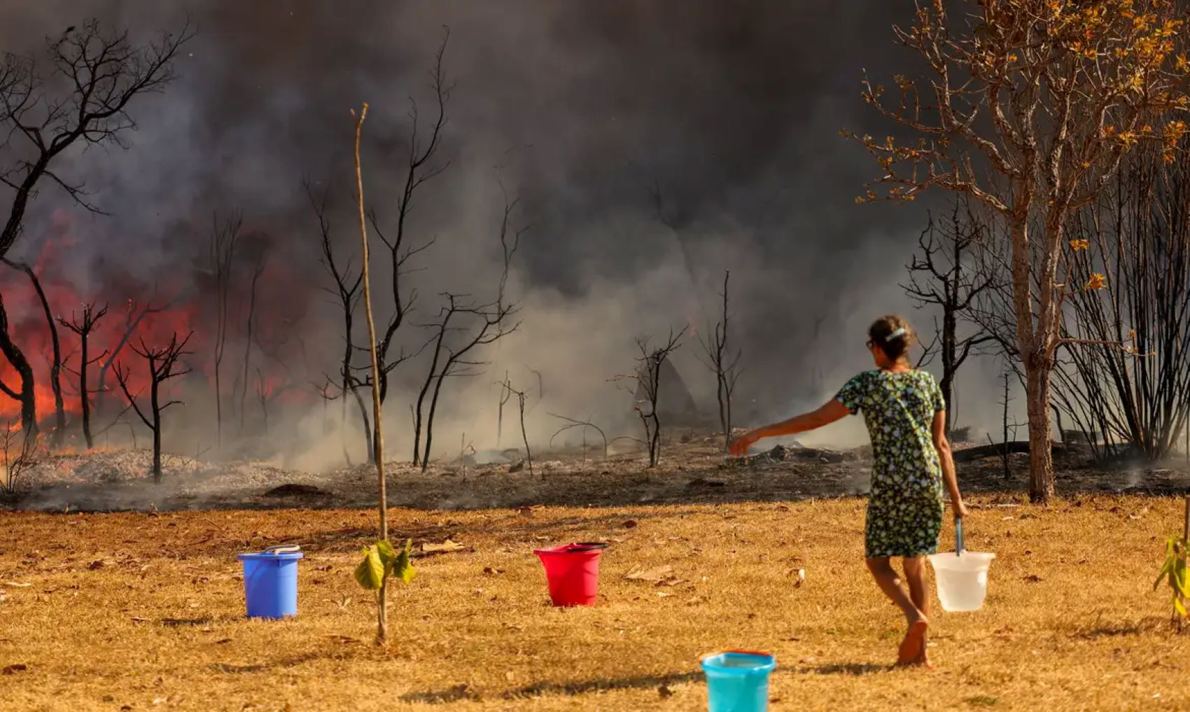 PF investiga incêndios criminosos no DF.