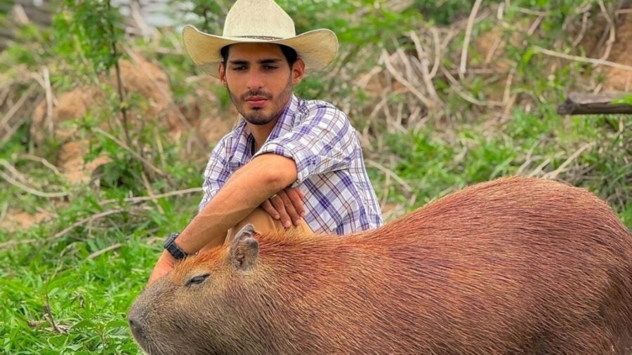 Capivara Filó - Foto: Reprodução/Instagram