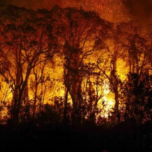 Incêndios florestais no Brasil afetam 18,9 milhões de pessoas e geram prejuízo de R$ 2 bilhões