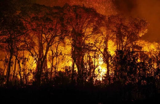 Incêndios florestais no Brasil afetam 18,9 milhões de pessoas e geram prejuízo de R$ 2 bilhões