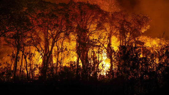 Incêndios florestais no Brasil afetam 18,9 milhões de pessoas e geram prejuízo de R$ 2 bilhões