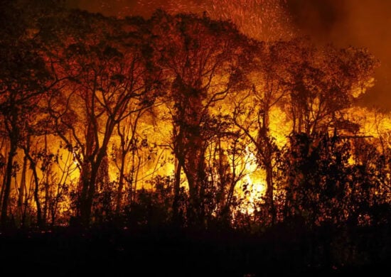 Incêndios florestais no Brasil afetam 18,9 milhões de pessoas e geram prejuízo de R$ 2 bilhões