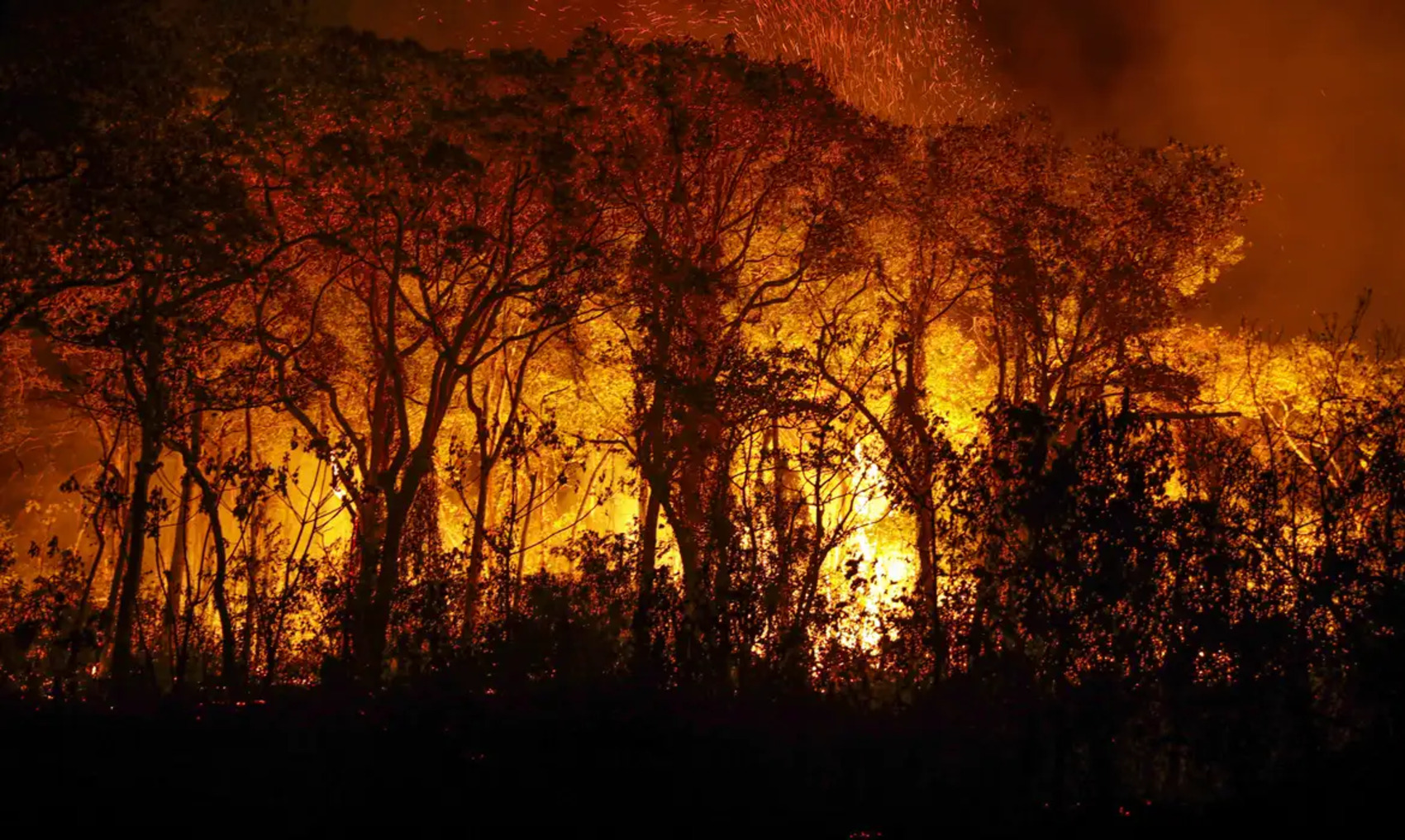 Incêndios florestais no Brasil afetam 18,9 milhões de pessoas e geram prejuízo de R$ 2 bilhões