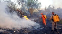 Focos de queimadas diminuíram quase 80% de uma semana para outra - Foto: Ascom/Semarh