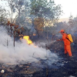 Focos de queimadas diminuíram quase 80% de uma semana para outra - Foto: Ascom/Semarh