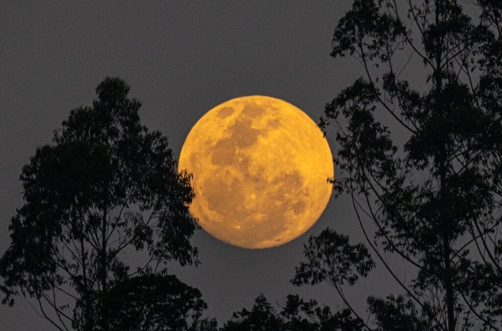 Superlua poderá ser vista no Amazonas. Foto: Reprodução X