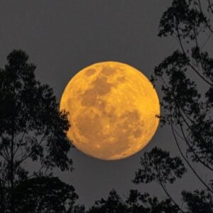 Superlua poderá ser vista no Amazonas. Foto: Reprodução X