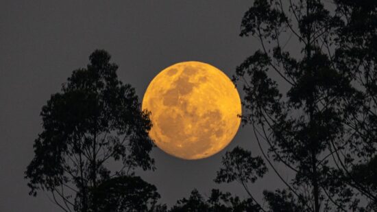 Superlua poderá ser vista no Amazonas. Foto: Reprodução X